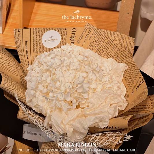 Bianco | Preserved Hydrangea | Super Mini