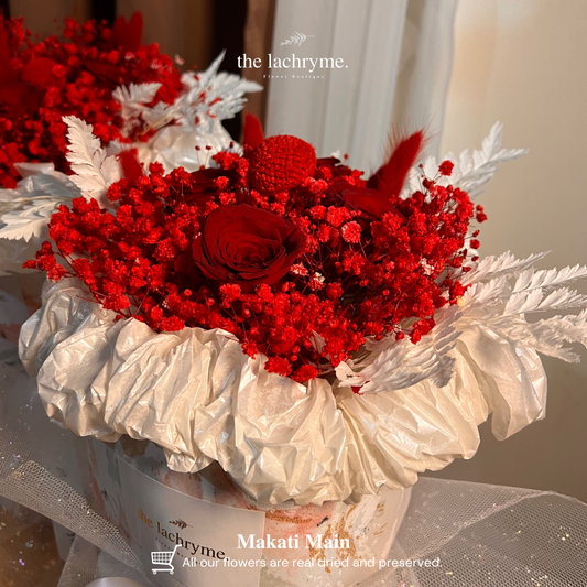 Stella | Preserved Blooms | Round Blooms in Grand