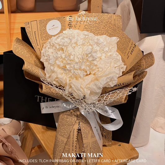Bianco | Preserved Hydrangea | Super Mini