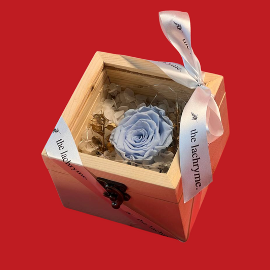 Eternal Box (Sky Blue)