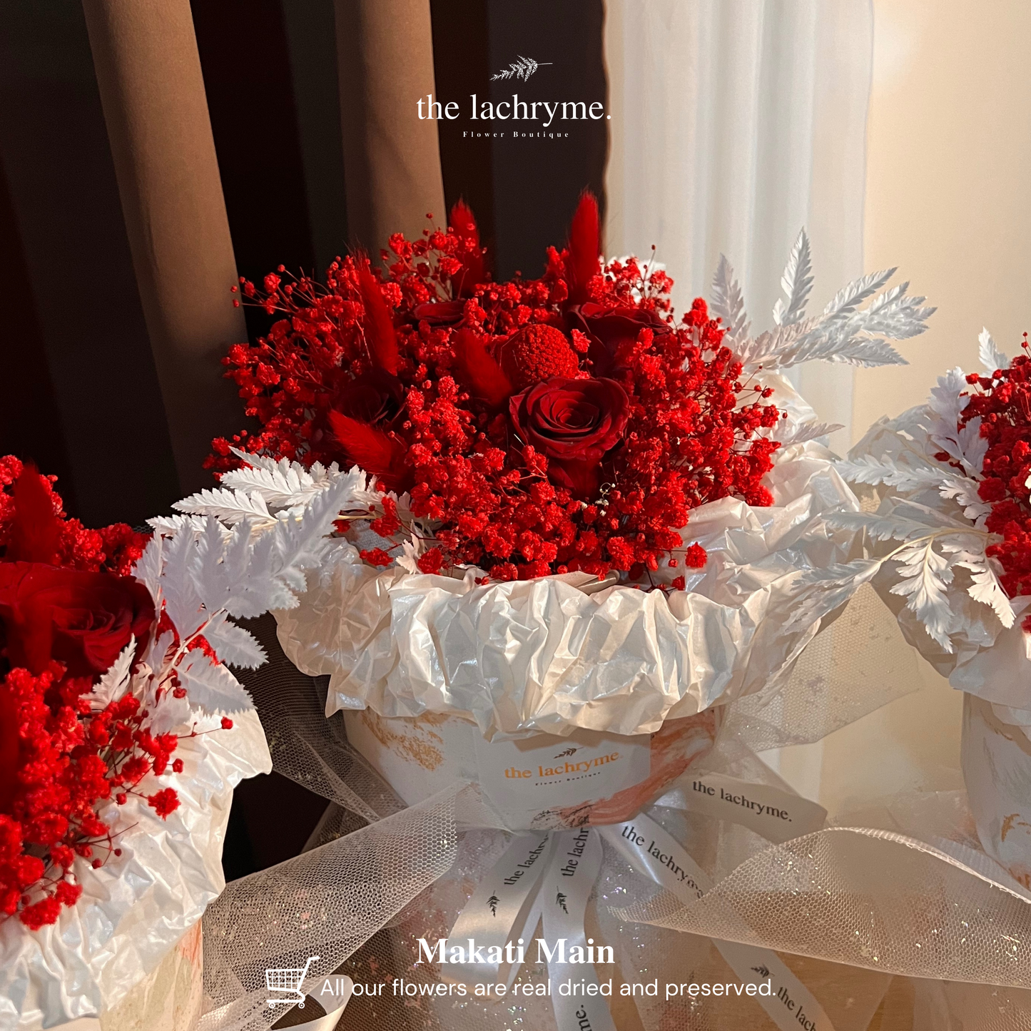 Stella | Preserved Blooms | Round Blooms in Grand