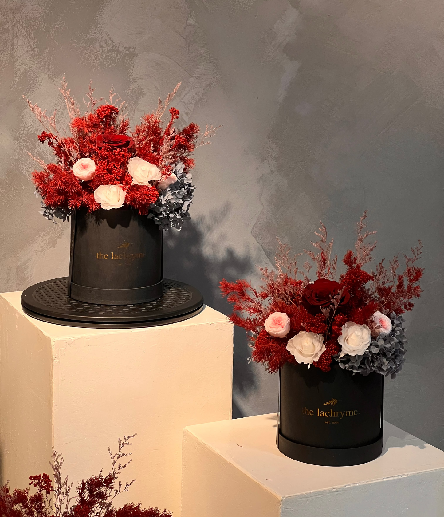 Blanc Grand | Preserved Blooms | Le Fleur