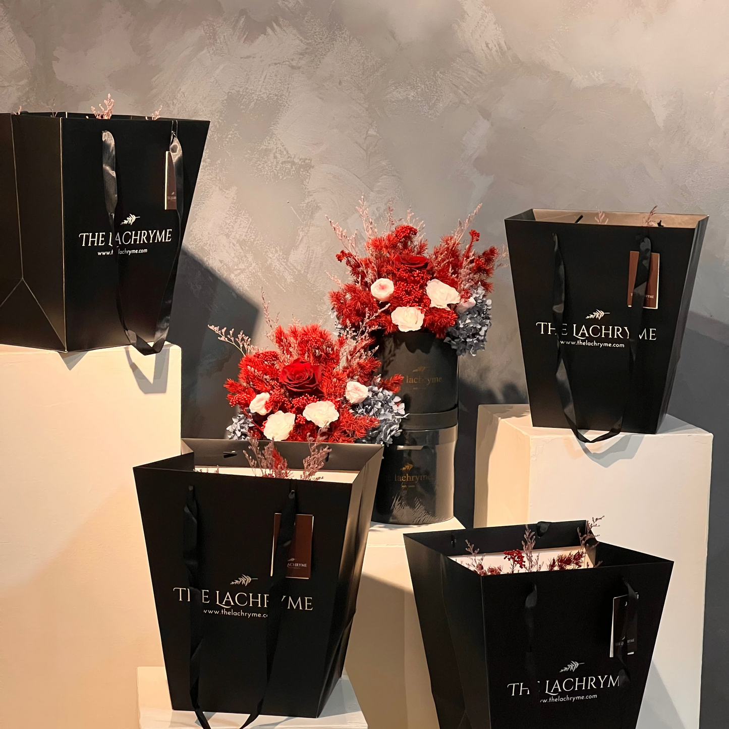 Blanc Grand | Preserved Blooms | Le Fleur